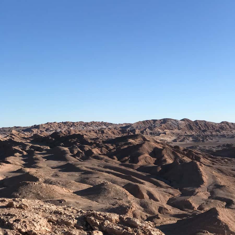 Atacama Desert and Magic Bus Visit - Who Will Get The Most From This $70 Experience?