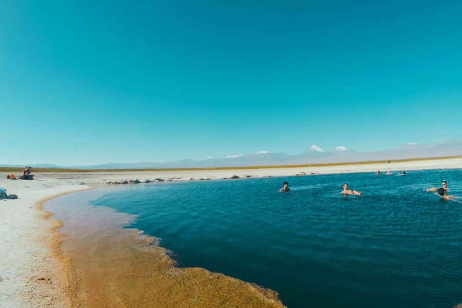 Atacama Desert: Floatation in Laguna Cejar and Sunset - Why Laguna Cejar deserves the headline