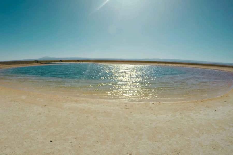Atacama Desert: Floatation in Laguna Cejar and Sunset - A five-hour route that needs careful timing