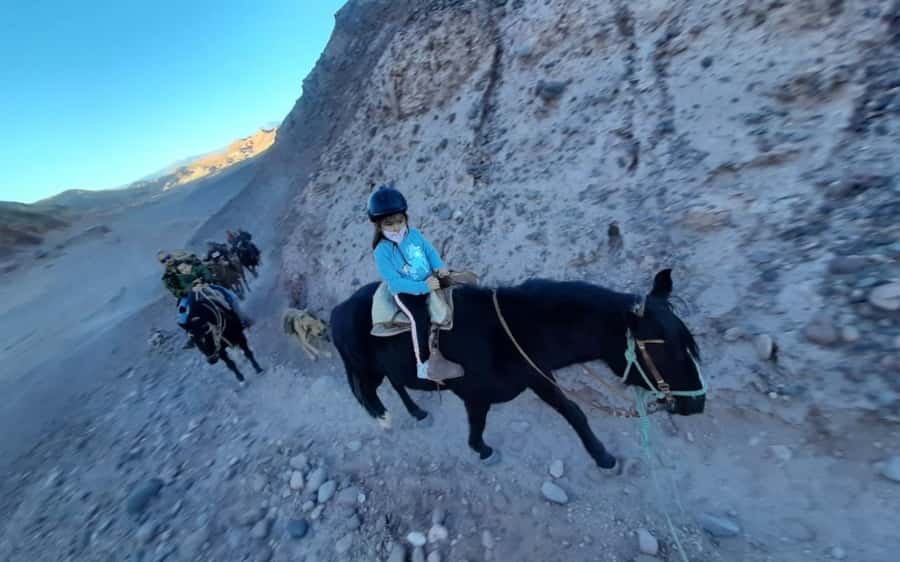 Atacama Desert: Horseback Adventure with Scenic Views - Who will enjoy this ride most?
