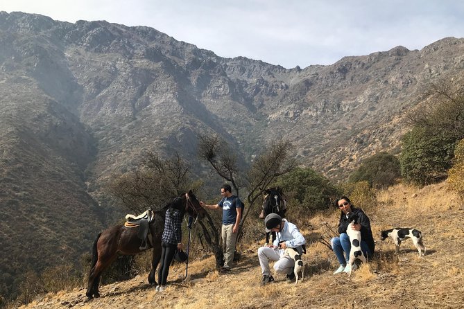 Authentic Andes Adventure: Private Horse Riding and Cheese & Wine - Meeting the horses and learning the basics