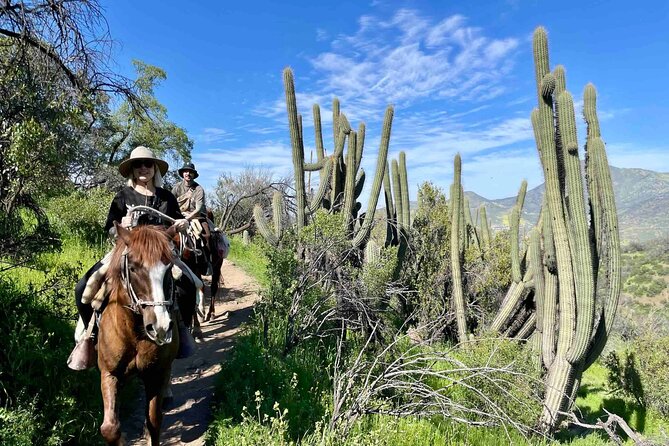 Authentic Andes Adventure: Private Horse Riding and Cheese & Wine - Practical advice for a smoother ride
