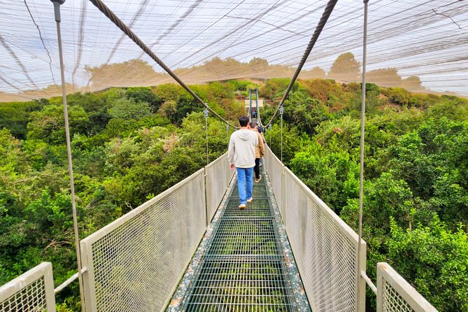 Aviary Tour and Tricao Park with Tasting in Undurraga Vineyard - Key points at a glance