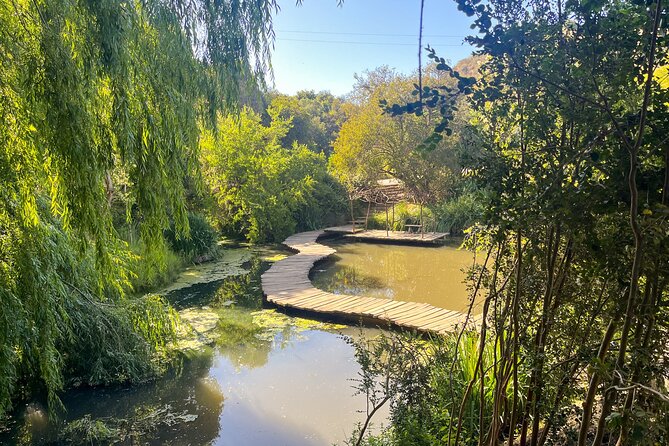 Aviary Tour and Tricao Park with Tasting in Undurraga Vineyard - Tricao Park and the great aviary