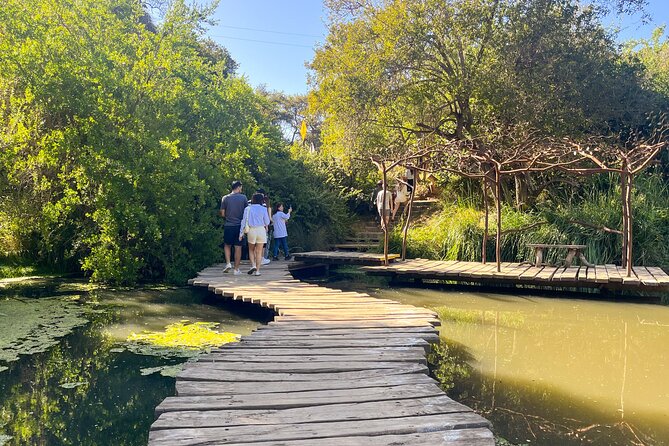 Aviary Tour and Tricao Park with Tasting in Undurraga Vineyard - Brunch beside the Giverny-inspired wetland