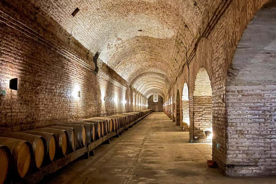 Bahá'i Temple and Cousiño Macul Vineyard - Is $96 A Fair Price?