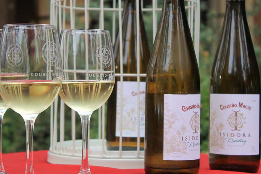 Bahá'i Temple and Cousiño Macul Vineyard - Practical Advice For Making The Half-Day Work