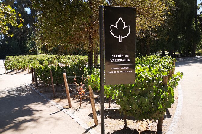 Bahá’í Temple, Winery & Tasting, Lapis Lazuli + Private Transport - What private transport is really worth