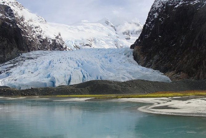 Balmaceda and Serrano Glaciers Sightseeing Cruise from Puerto Natales - Wildlife on Ultima Esperanza Fjord