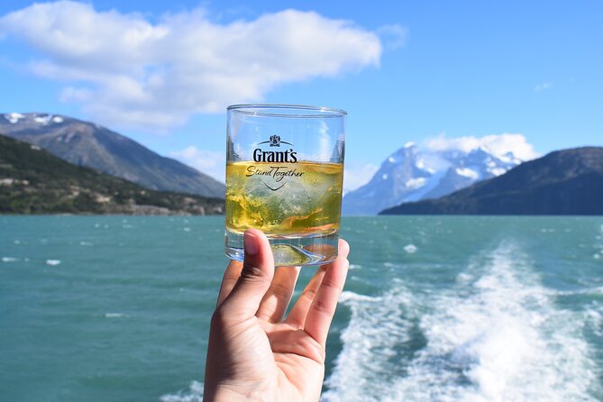 Balmaceda & Serrano Glaciers Boat Tour and traditional lunch. - Cormorants, sea lions, condors, and waterfalls