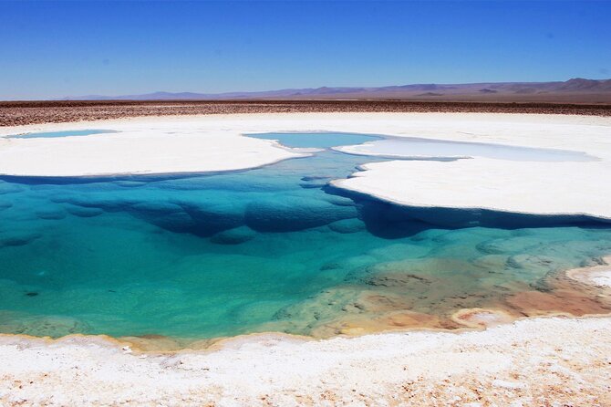 Baltinache Hidden Lagoons in Atacama - Why the guide matters more than the sales pitch