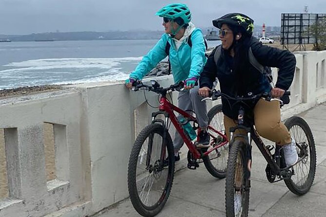 Bicycle ride along the coastal edge of Viña del Mar - Key points to know before you pedal