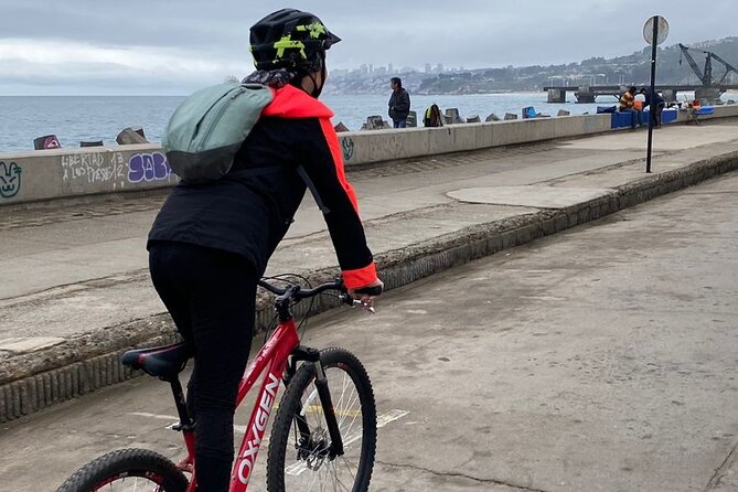 Bicycle ride along the coastal edge of Viña del Mar - Who gets the best value from $70