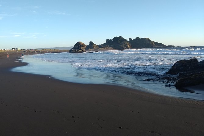 Biobío River Estuary and Rocoto Beach - Why this Concepción day trip works