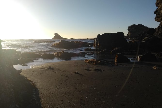 Biobío River Estuary and Rocoto Beach - Three hours inside Pedro del Río Zañartu Museum