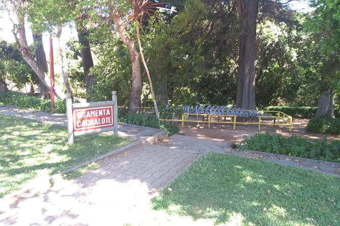 Biobío River Estuary and Rocoto Beach - Practical advice for a smoother day