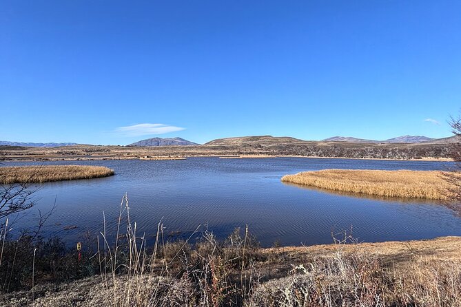 Bird Watching and Fauna in Chilean Patagonia Private Tour - Key details before you book