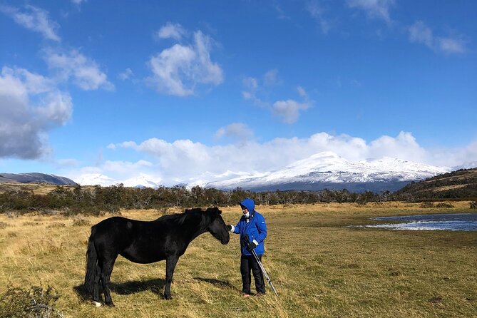 Bird Watching and Fauna in Chilean Patagonia Private Tour - Why this private Patagonia outing works so well