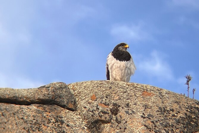 Bird Watching and Fauna in Chilean Patagonia Private Tour - The two-hour drive from Puerto Natales
