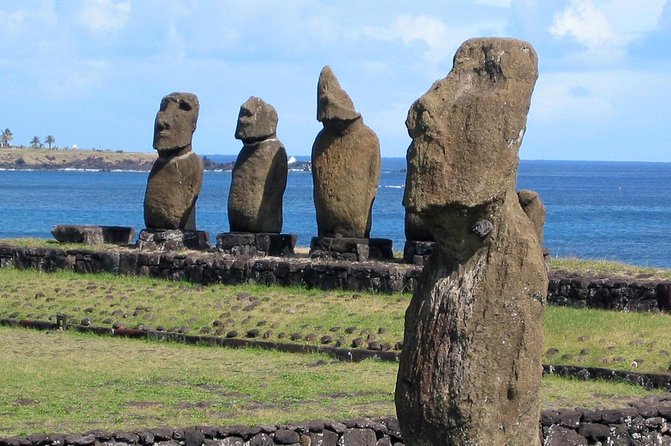 Birdman Ceremonial Route: Orongo, Ranu Kau Half-Day Tour - Why the Birdman route matters on Easter Island