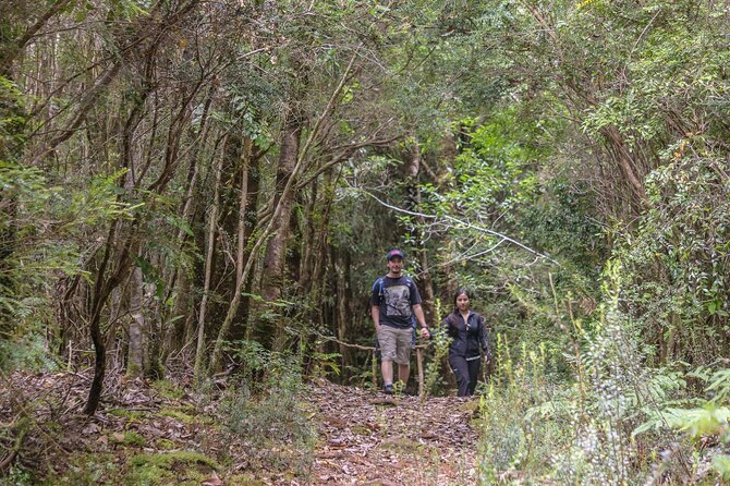 Bosque Piedra Reserve Tour - Why Bosque Piedra makes a good change from Castro