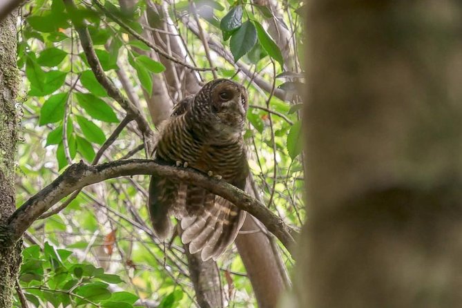Bosque Piedra Reserve Tour - Lake Huillinco in a 20-minute stop