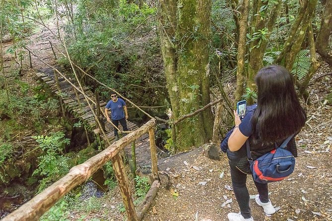 Bosque Piedra Reserve Tour - Two hours inside the Bosque Piedra reserve
