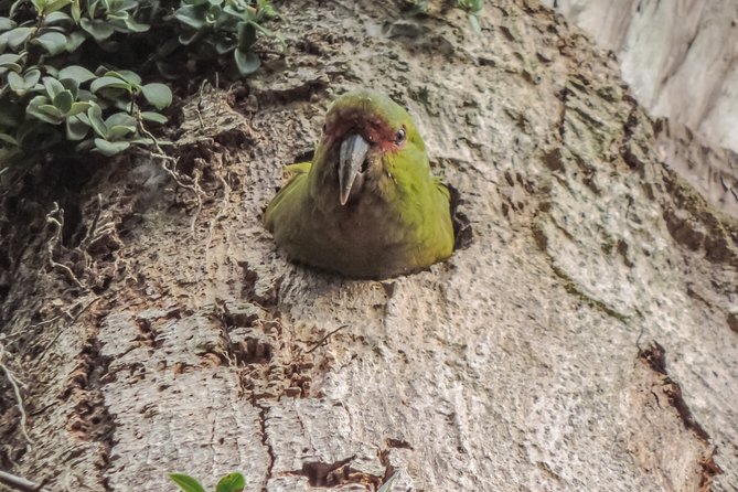 Bosque Piedra Reserve Tour - Wildlife without the false promise of a sighting