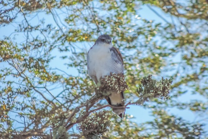 Bosque Piedra Reserve Tour - What the small group changes