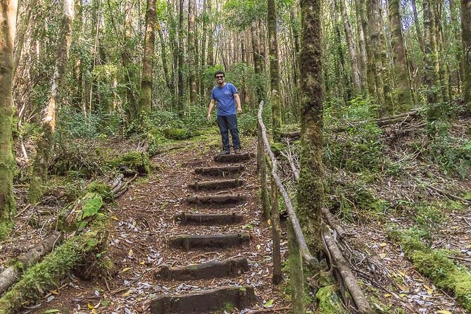 Bosque Piedra Reserve Tour - Is $105.53 a fair price?