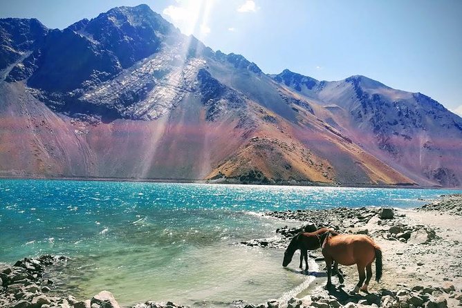 Cajon Del Maipo Including Wine with Picnic and Empanada - Empanadas, Chilean wine, and a mountain picnic