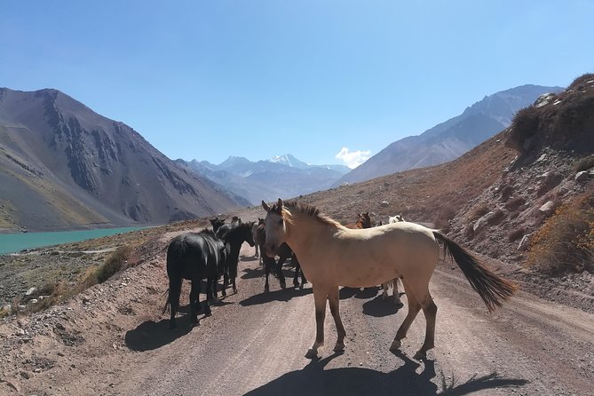 Cajon Del Maipo Including Wine with Picnic and Empanada - Casa Chocolate in San José de Maipo