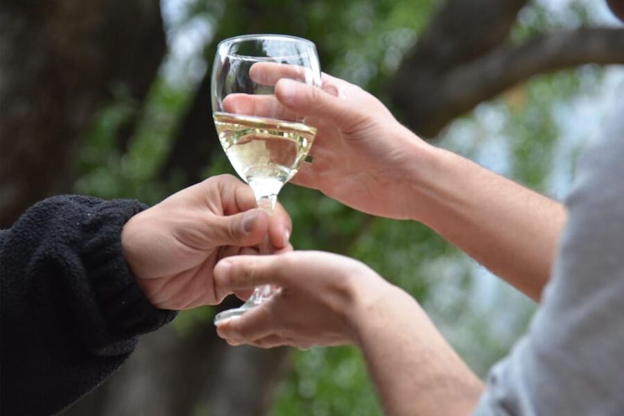Cajon Del Maipo Including Wine with Picnic and Empanada - Is $99 a fair price?