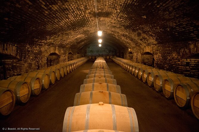 Cajon Del Maipo with Lunch and Visit to One Winery - Leaving Santiago with Chilean context