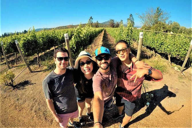 Cajon Del Maipo with Lunch and Visit to One Winery - Wine in the Maipo Valley