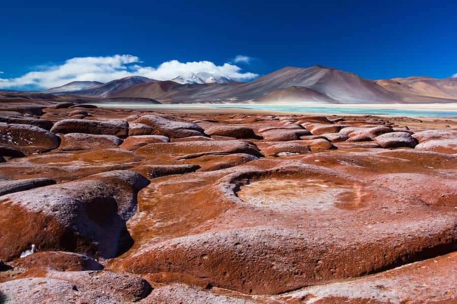 Caracoles: Red Stones of Atacama and Chaxa Guided Day Trip - Key points to know before booking
