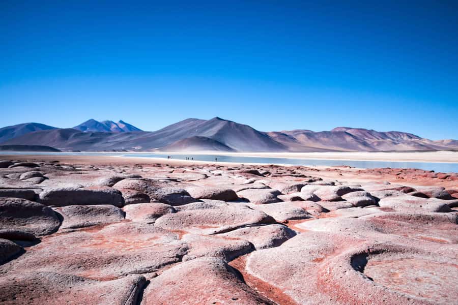 Caracoles: Red Stones of Atacama and Chaxa Guided Day Trip - Why this Atacama day trip works so well