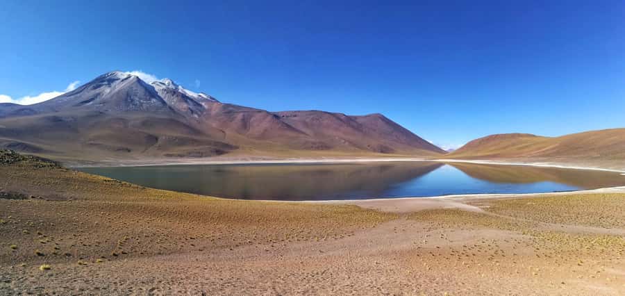 Caracoles: Red Stones of Atacama and Chaxa Guided Day Trip - Chaxa Lagoon and the flamingos
