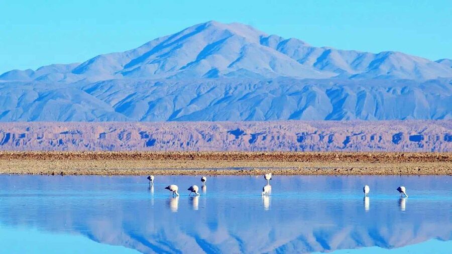 Caracoles: Red Stones of Atacama and Chaxa Guided Day Trip - Breakfast and lunch in the open Andes