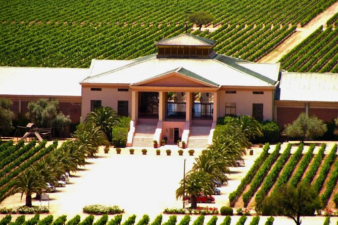 Carob, Vineyard Houses of the Forest and Museum Neruda Isla Negra - What the $111 price really covers