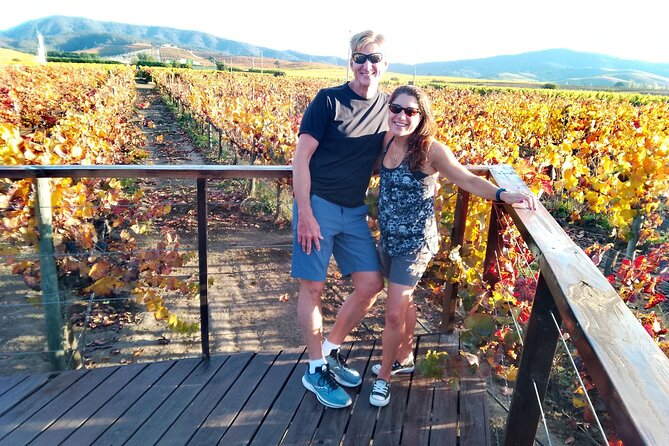 Casablanca Valley & Casa del Bosque - 3 Vineyards - Full day - Why Casablanca Valley makes a good day from Santiago