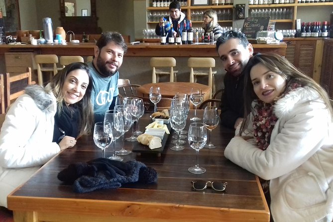 Casablanca Valley & Casa del Bosque - 3 Vineyards - Full day - Casa del Bosque and Tanino: save room for lunch