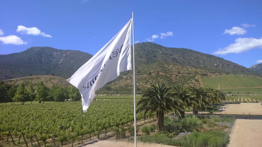 Casablanca Valley: Full-Day Private Wine Tour - Key points to know before booking