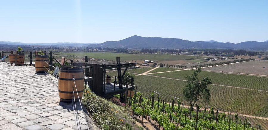 Casablanca Valley: Full-Day Private Wine Tour - Is this Casablanca Valley tour worth booking?