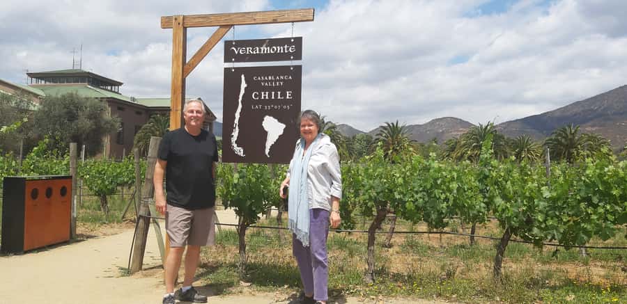 Casablanca Valley: Full-Day Private Wine Tour - Visiting up to three Chilean vineyards