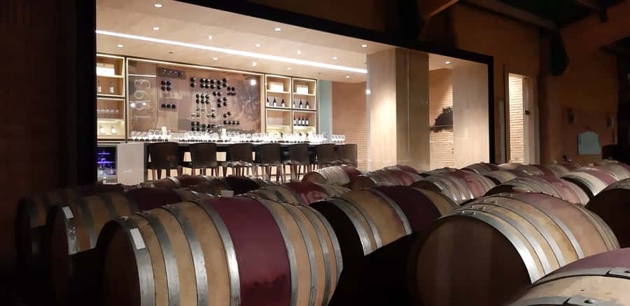 Casablanca Valley: Full-Day Private Wine Tour - Who gets the best value from the $310 price