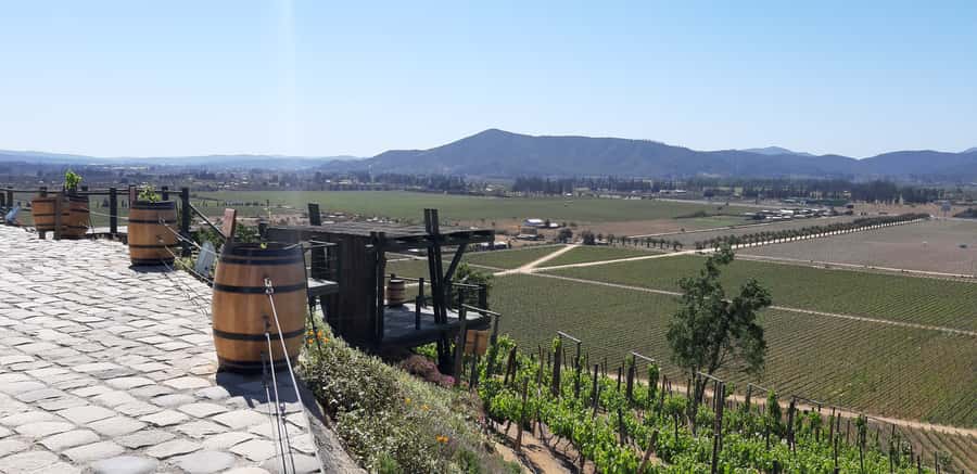Casablanca Valley: Full-Day Private Wine Tour - Tips for making the day easier