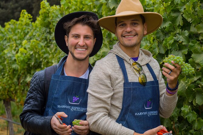 Casablanca Valley: Premium Wine Tour with LGBT+ Guide - An LGBT+ guide and a more personal tone