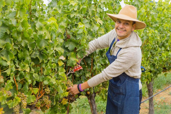 Casablanca Valley: Premium Wine Tour with LGBT+ Guide - Lunch after the tasting