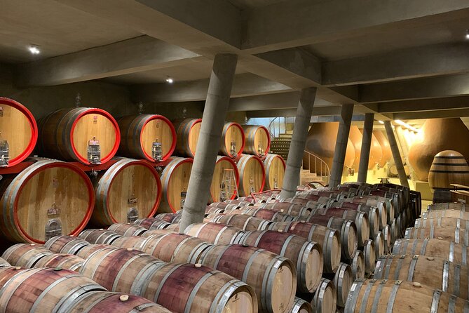 Casablanca Valley: Premium Wine Tour with LGBT+ Guide - Is $200 a fair price?